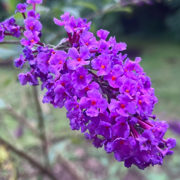 Meet your Posher, Michelle - Picture 9 of 10